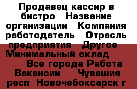 Продавец-кассир в бистро › Название организации ­ Компания-работодатель › Отрасль предприятия ­ Другое › Минимальный оклад ­ 15 000 - Все города Работа » Вакансии   . Чувашия респ.,Новочебоксарск г.